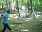 Horseshoes