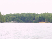 From the 2003 Gallery Pine Point Park