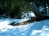 From the 2004 Gallery "Winter"
