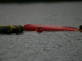 From the 2004 Gallery Canoe Races