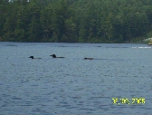 From the 2005 Gallery Northwood Lake